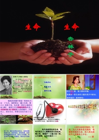 生命生命PPT课件