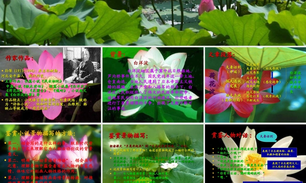 高中语文 荷花淀6 沪教版第五册 课件