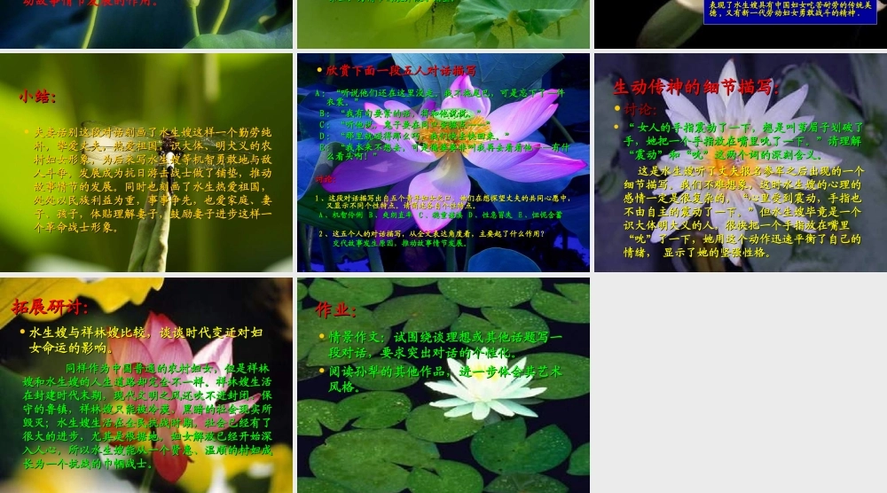 高中语文 荷花淀6 沪教版第五册 课件