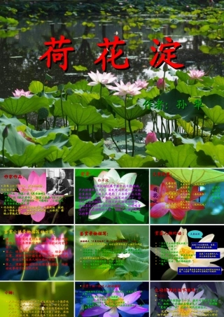 高中语文 荷花淀6 沪教版第五册 课件