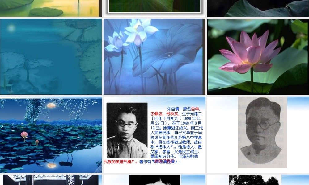 高中语文(荷风起色)课件 鲁教版必修1 课件