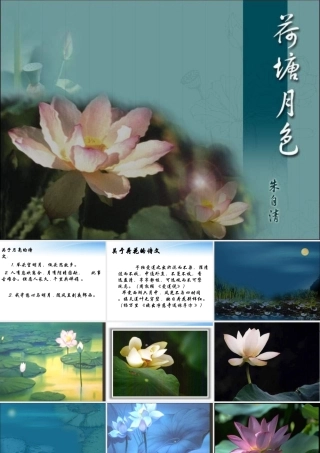 高中语文(荷风起色)课件 鲁教版必修1 课件