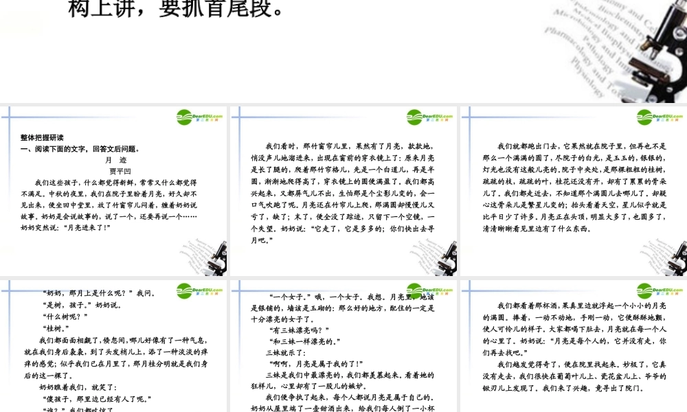 高考语文二轮复习 文学类文本阅读课件 新人教版 课件
