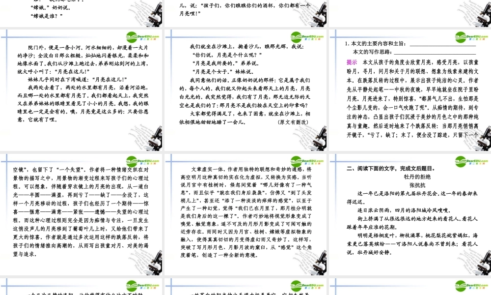 高考语文二轮复习 文学类文本阅读课件 新人教版 课件