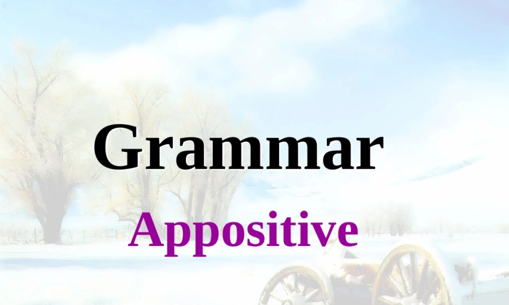 高三英语高考详谈同位语从句及练习课件人教版 课件