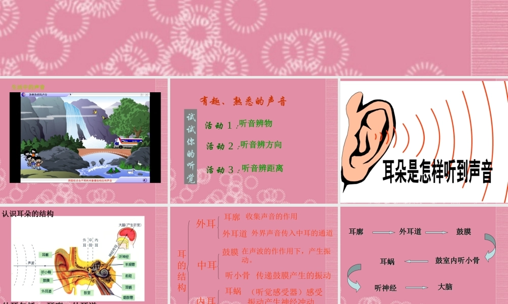 浙江省宁波市七年级科学 第1节 初识声音课件