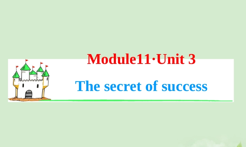 高考英语一轮复习 Module11 Unit 3 The secret of success课件 牛津译林版(湖南专用) 课件