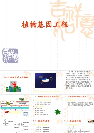 植物基因工程