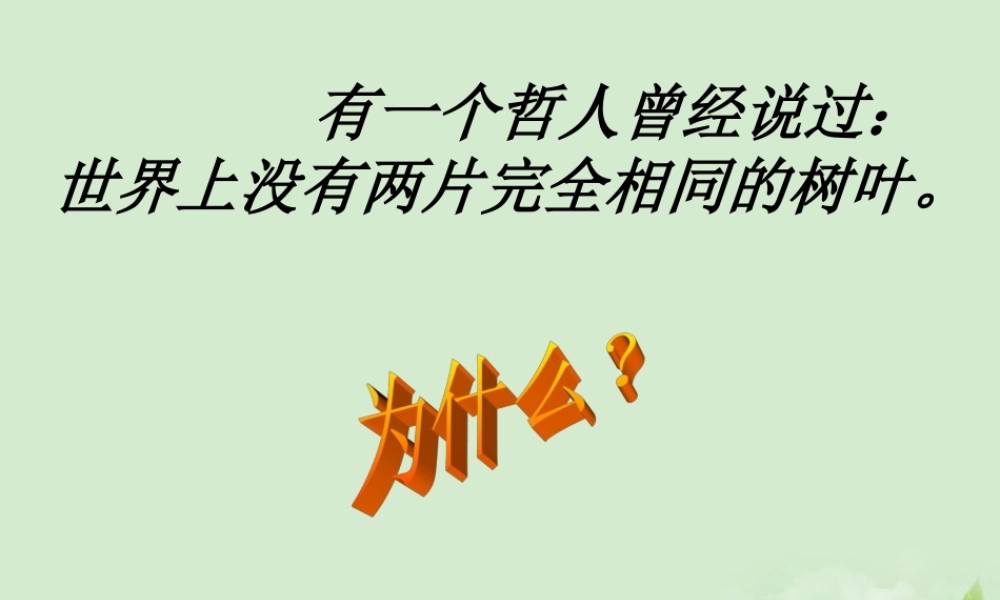 高中语文 310(菱角的喜剧)课件2 粤教版必修2 课件