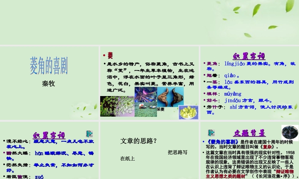 高中语文 310(菱角的喜剧)课件2 粤教版必修2 课件