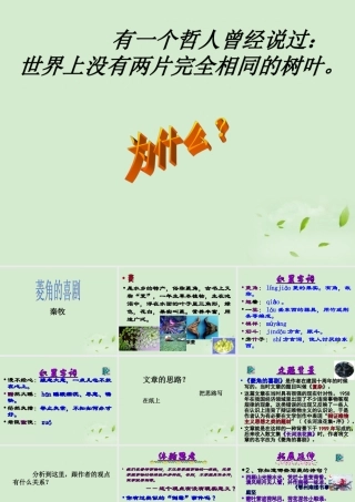 高中语文 310(菱角的喜剧)课件2 粤教版必修2 课件