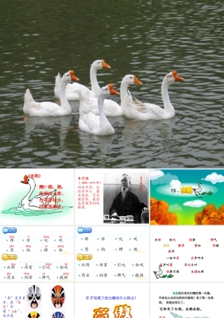 13白鹅-(3)
