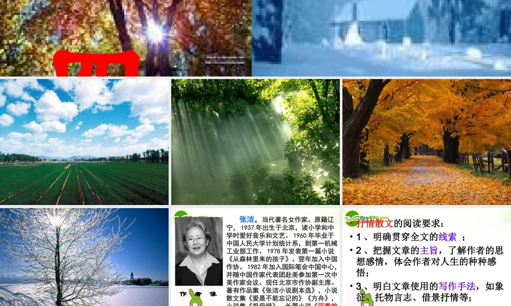 高中语文(我的四季)课件6 苏教版必修1 课件