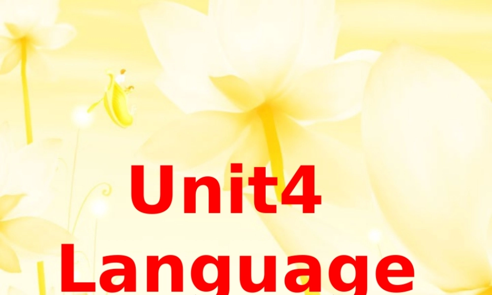 高三英语第一轮复习之高二英语Unit4 Language points 人教版 试题