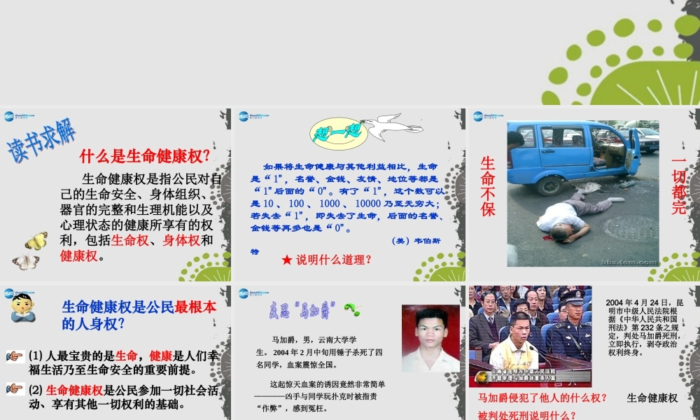 秋八年级政治上册 第八课 第一框 法律保护我们的生命健康权课件1 鲁教版 课件