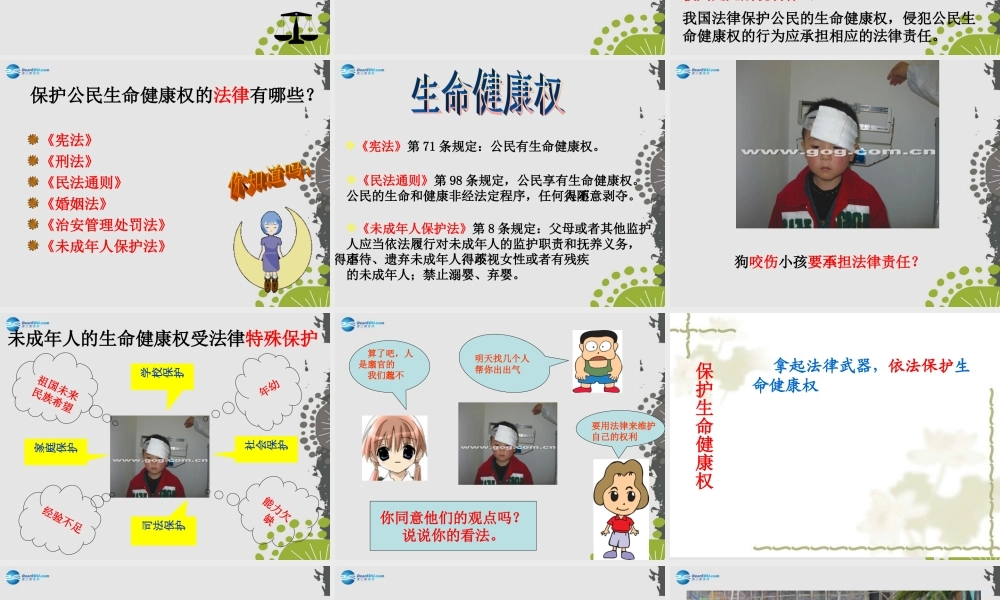 秋八年级政治上册 第八课 第一框 法律保护我们的生命健康权课件1 鲁教版 课件