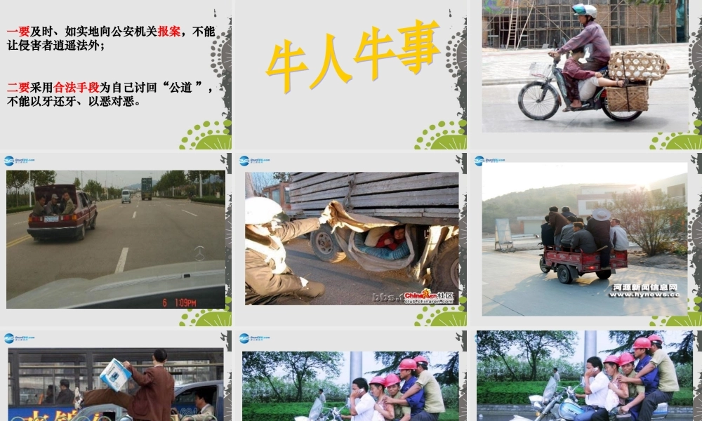 秋八年级政治上册 第八课 第一框 法律保护我们的生命健康权课件1 鲁教版 课件