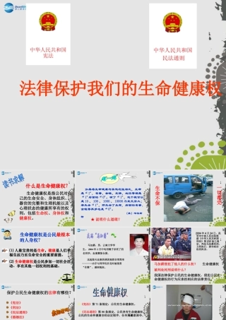 秋八年级政治上册 第八课 第一框 法律保护我们的生命健康权课件1 鲁教版 课件