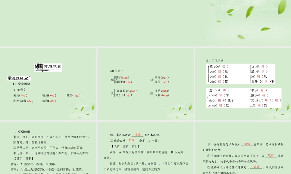 高中语文 10 菱角的喜剧课件 粤教版必修2 课件