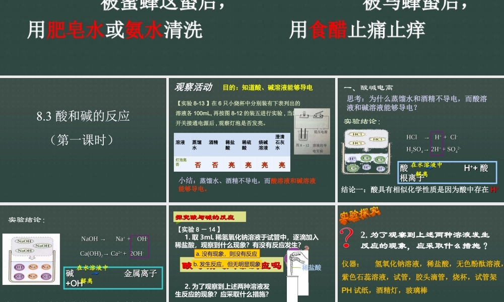 8.3酸和碱的反应-(3)