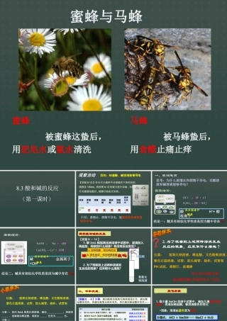 8.3酸和碱的反应-(3)