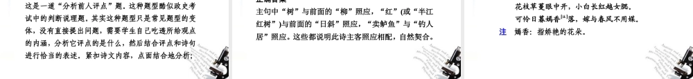高考语文二轮复习 1第三章专练三辨析表达技巧配套课件