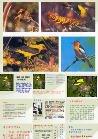 高中语文 25(黄鹂)课件 语文版必修1 课件
