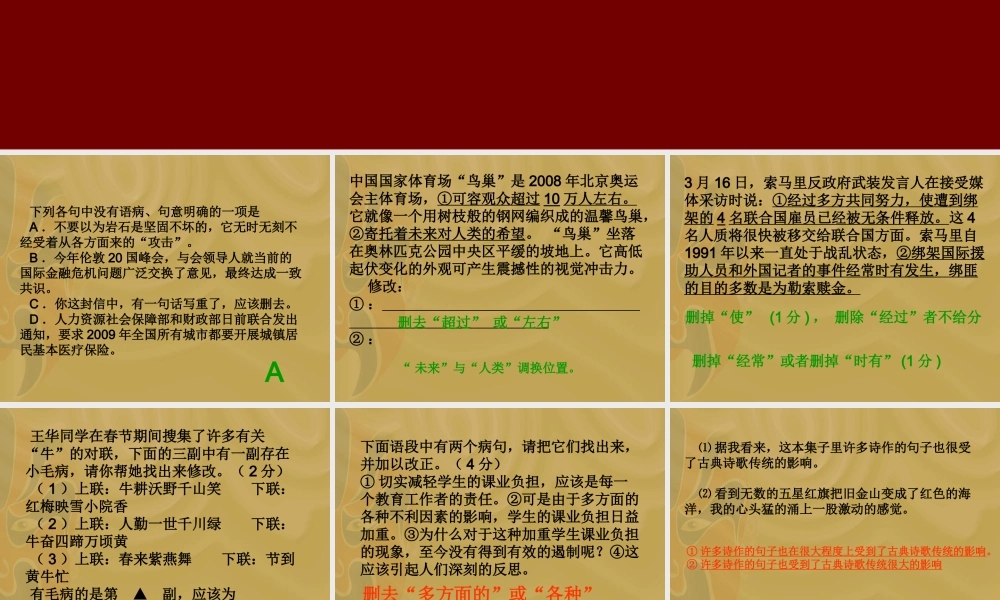 语文中考改病句专项练习课件苏科版 课件