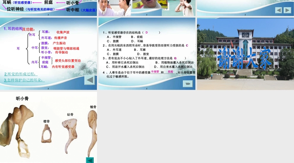 我的课件(恢复)