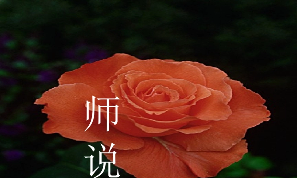 高中语文：414(师说)课件(4)(语文版必修4) 课件