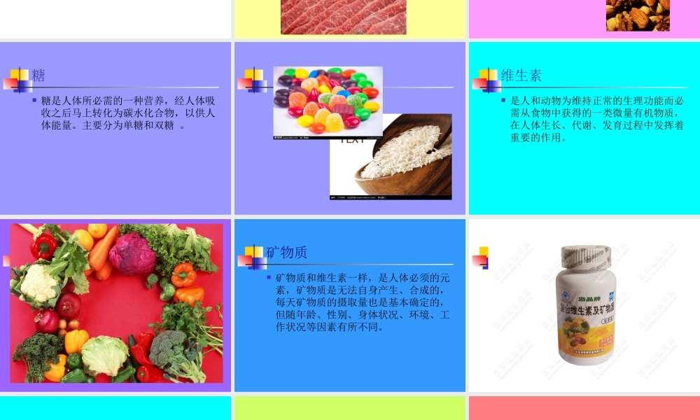 体育与健康---体育活动与营养卫生