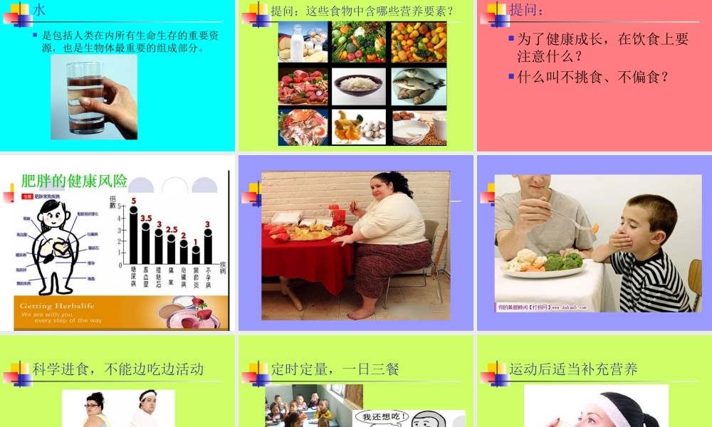体育与健康---体育活动与营养卫生