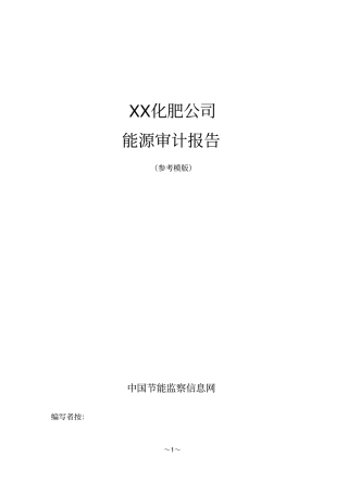 化肥能源审计报告自动生成模板