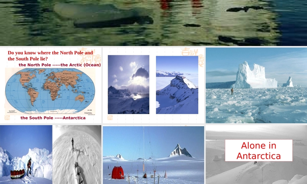 高一英语unit17 reading 人教版 课件