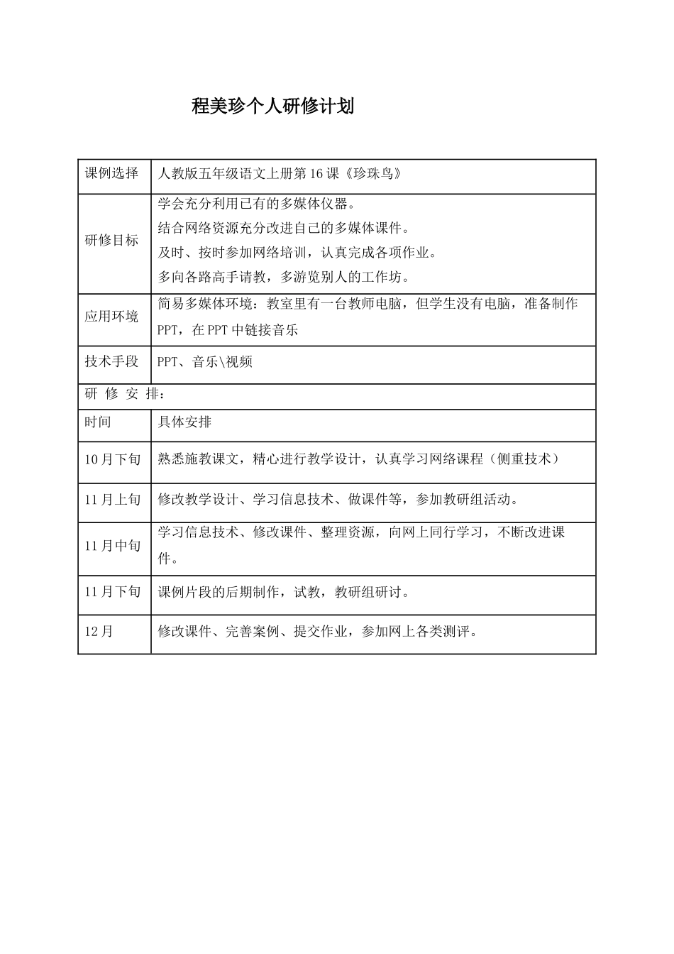 程美珍个人计划_第1页