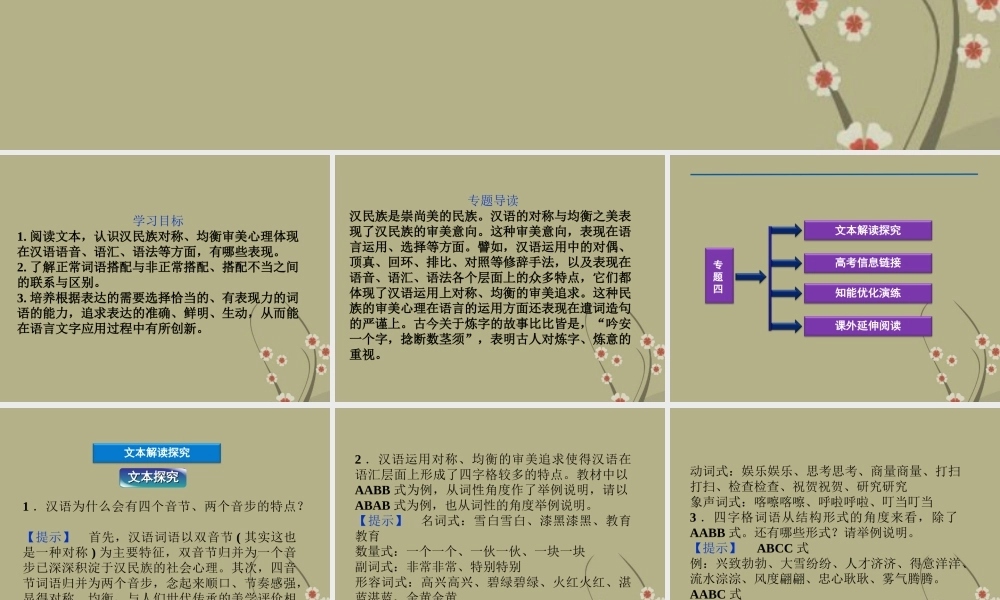 高中语文 专题四 词语选用的审美追求课件 苏教版选修(语言规范与创新) 课件