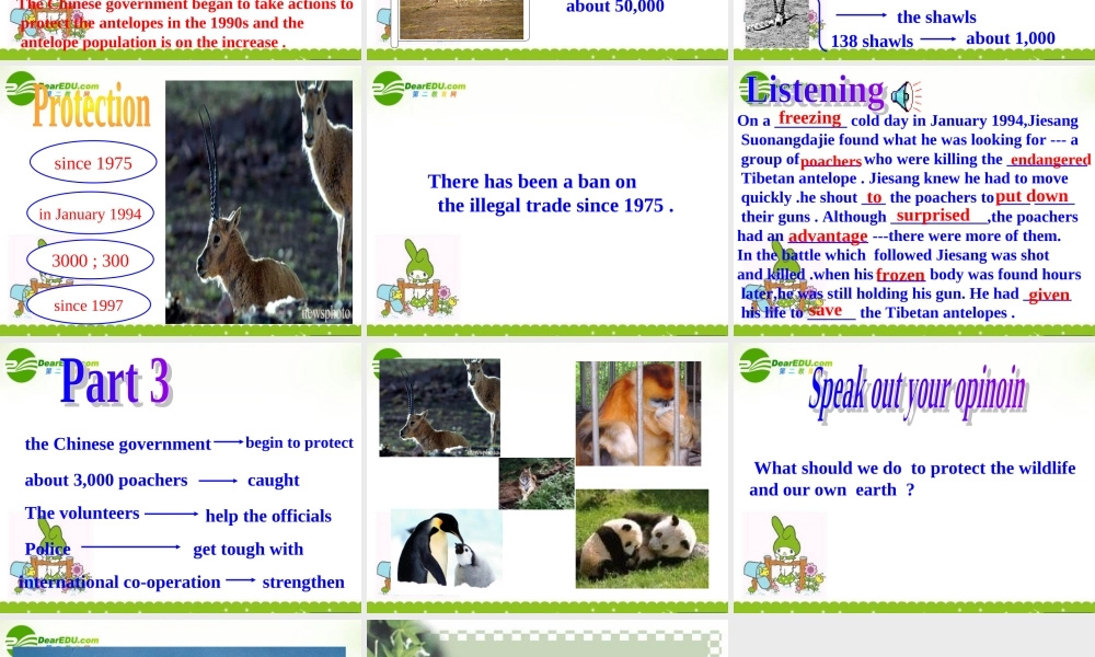 高中英语 Module 6(Animals in Danger)课件(2) 外研版必修5 课件