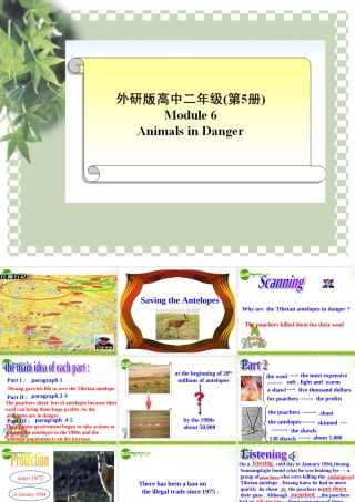 高中英语 Module 6(Animals in Danger)课件(2) 外研版必修5 课件