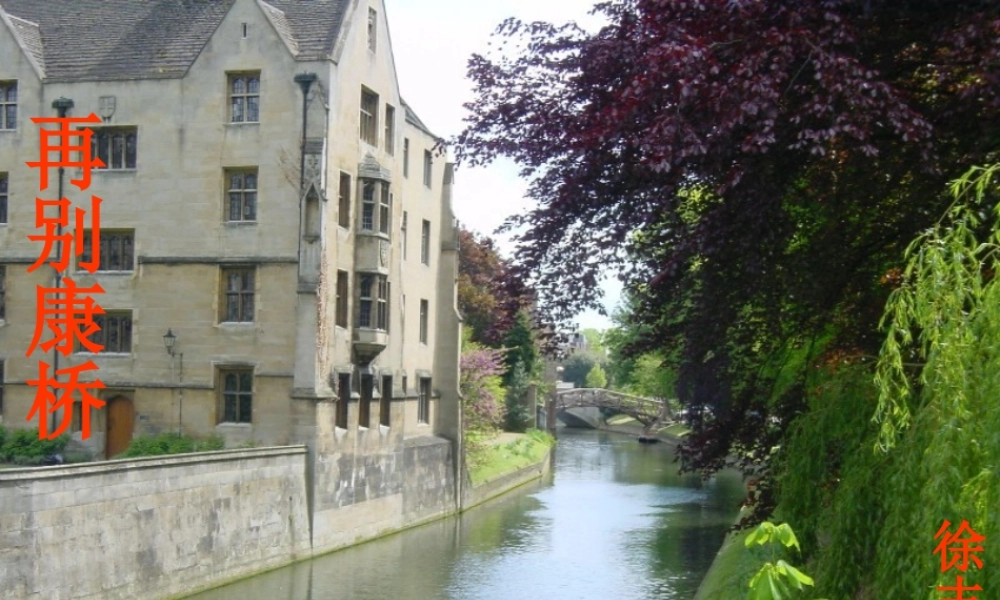 高中语文(再别康桥)课件 鲁人版必修4 课件