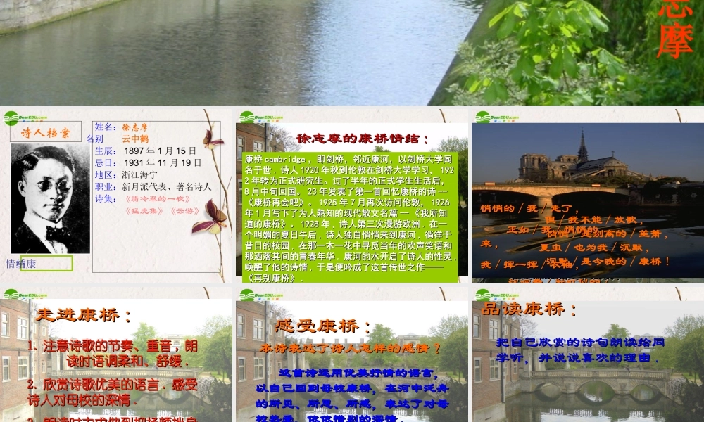 高中语文(再别康桥)课件 鲁人版必修4 课件