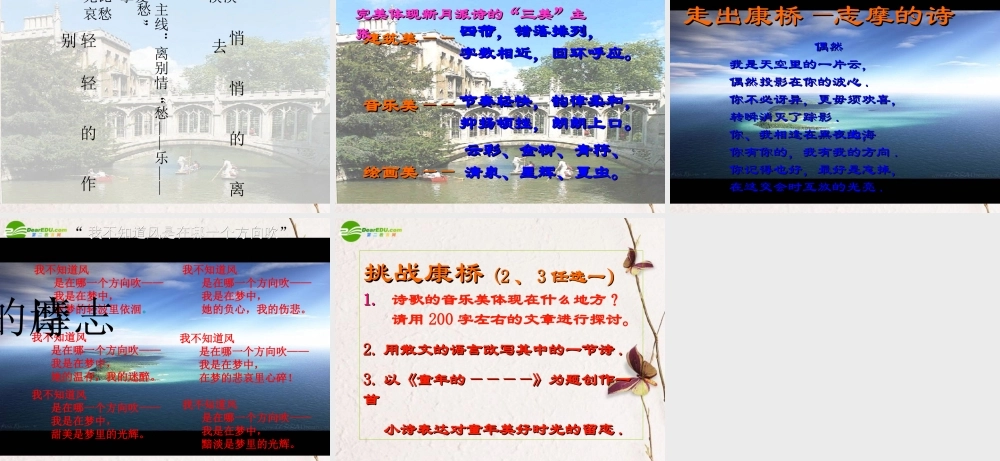 高中语文(再别康桥)课件 鲁人版必修4 课件