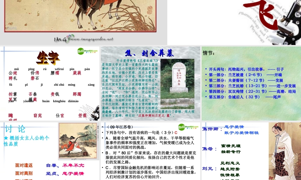 高中语文 孔雀东南飞课件 新人教版必修2 课件