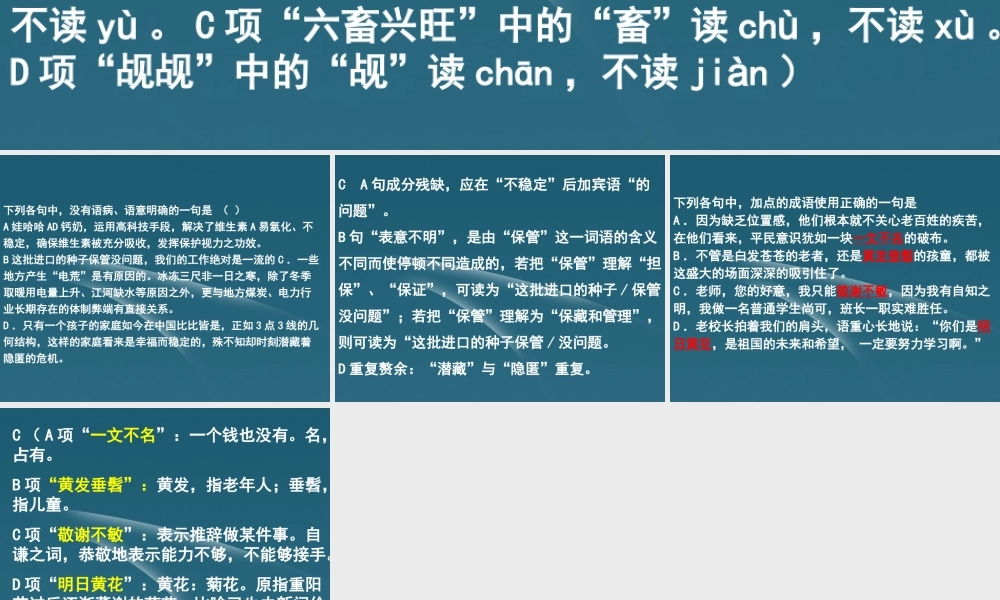 高考语文语基训练课件5 课件