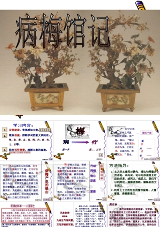 高中语文 43(病梅馆记)课件沪教版第四册 课件