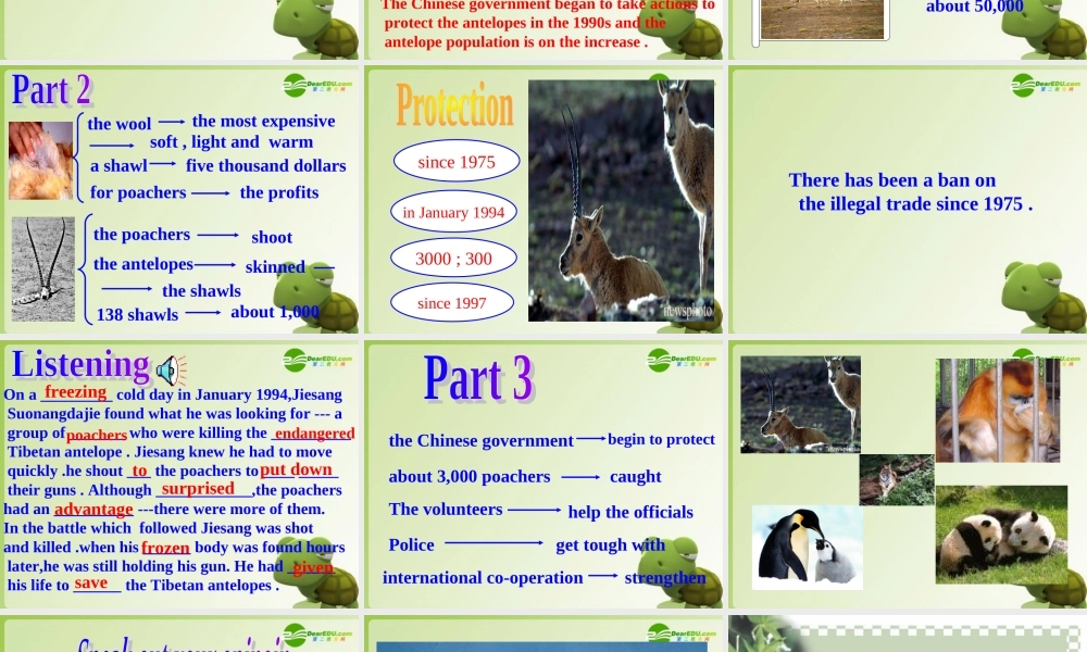 高中英语 Module 6(Animals in Danger)-Reading课件 外研版必修5 课件