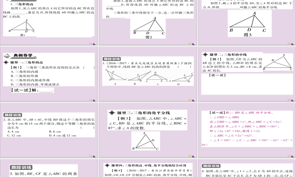秋八年级数学上册 第十一章(三角形)11.1 与三角形有关的线段 11.1.2 三角形的高、中线与角平分线课件 (新版)新人教版 课件