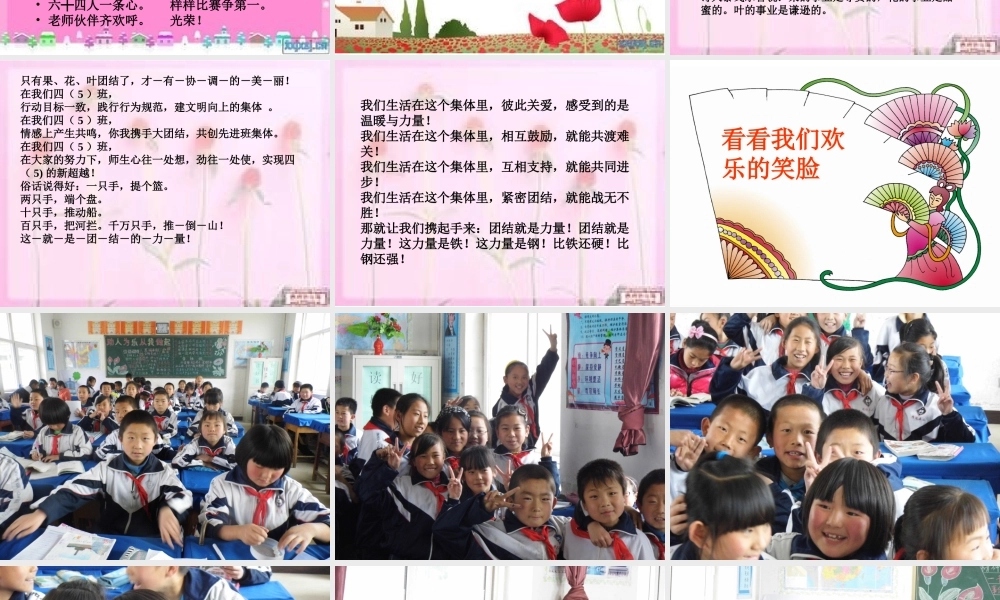 团结-尊重-合作--主题班会