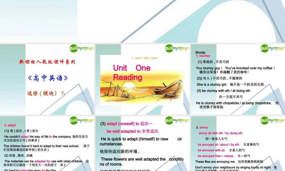 高中英语 14(Unit 1　Reading)课件 新人教版选修7 课件