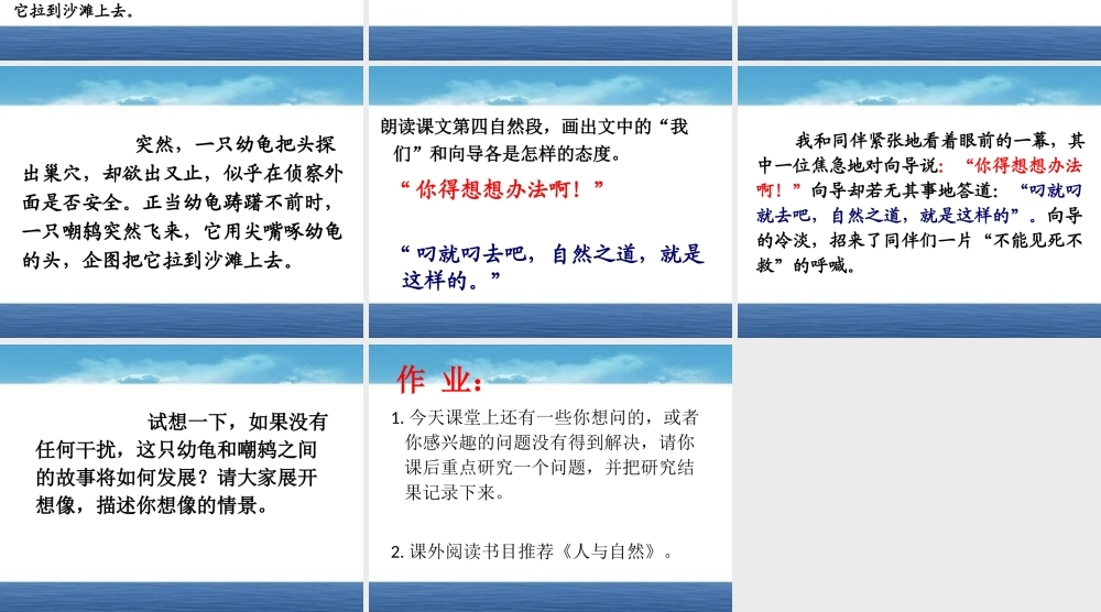 !9《自然之道》上课课件