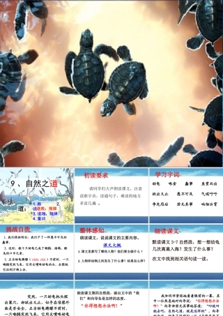 !9《自然之道》上课课件